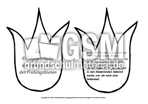 Erfolgsgeschichte-Lapbook-Tulpe-1-7.pdf